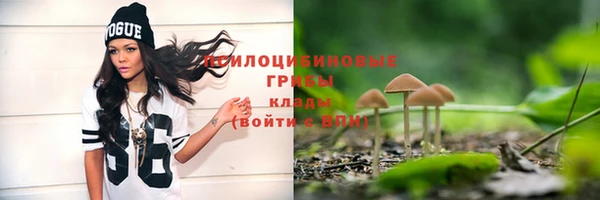 марихуана Беломорск