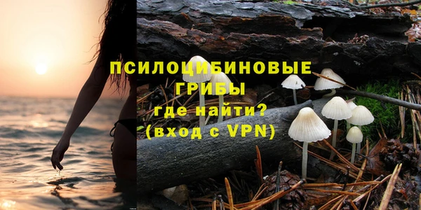 бутират Белокуриха