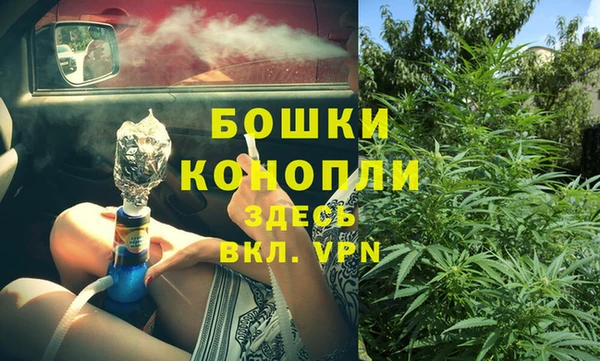 бутират Белокуриха