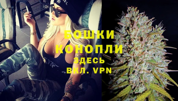 бутират Белокуриха