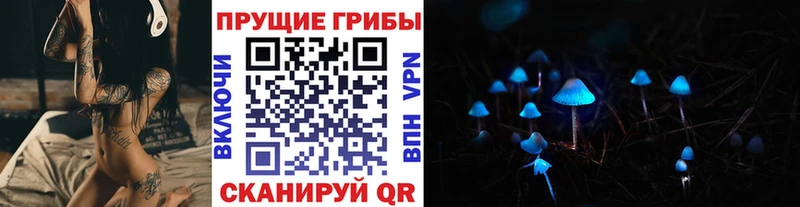 Галлюциногенные грибы мицелий кракен ССЫЛКА Дорогобуж